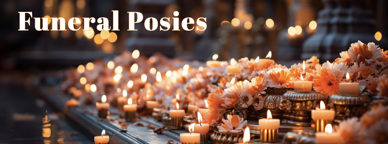 Funeral - Posies