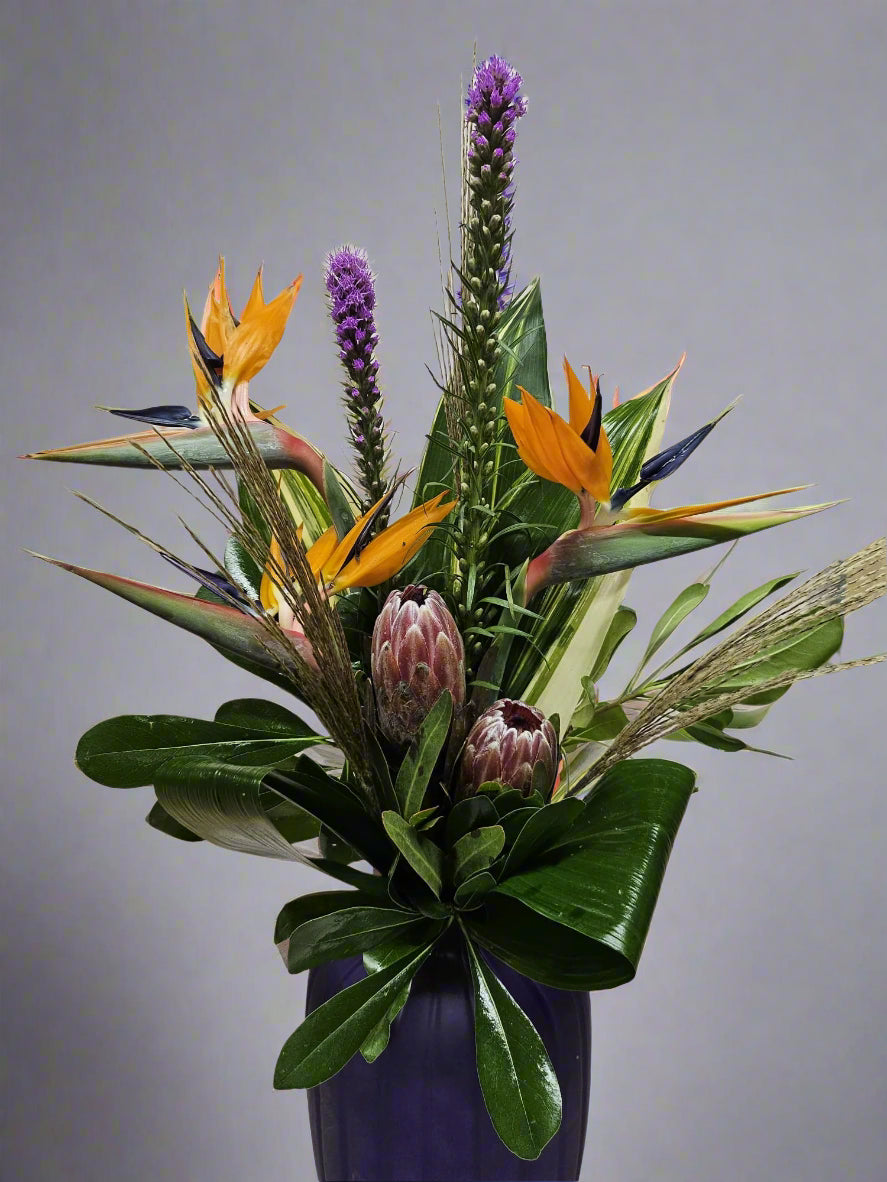 Tropical premium vase arrangement with orange bird of paradise, protea and purple liatris