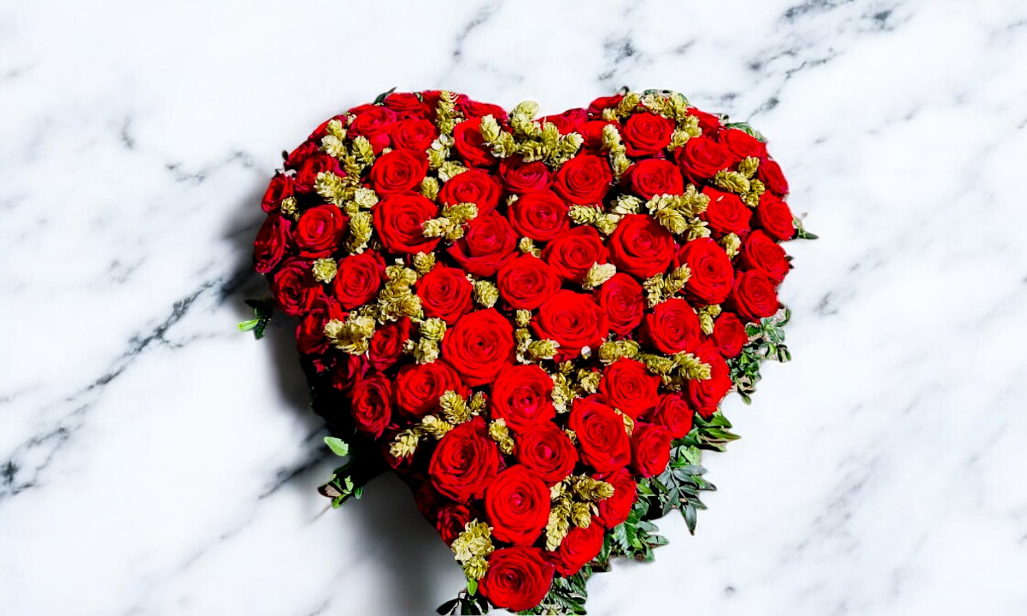 red rose sympathy tribute