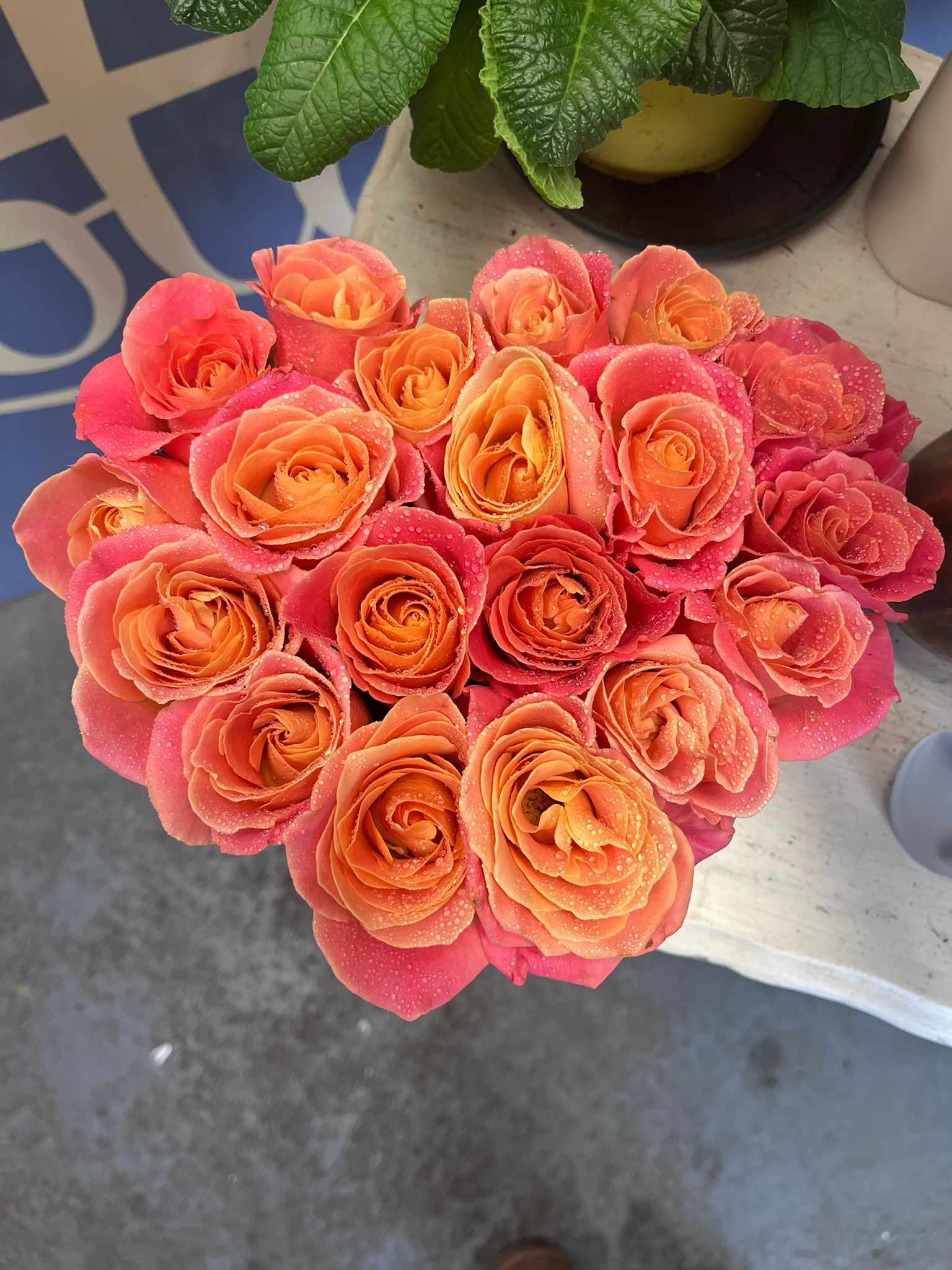 The Ravishing Rose Hatbox