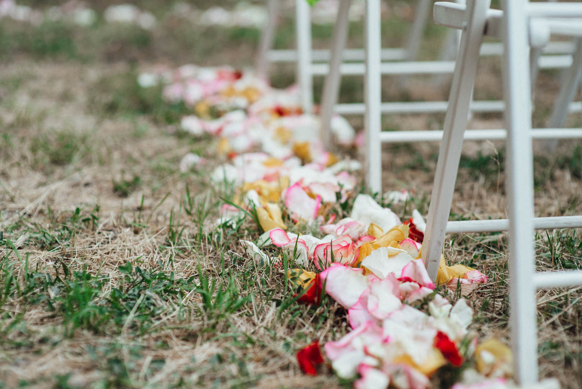 Pink, cream and yellow rose petals scattered beside white chairs on a grassy wedding aisle.