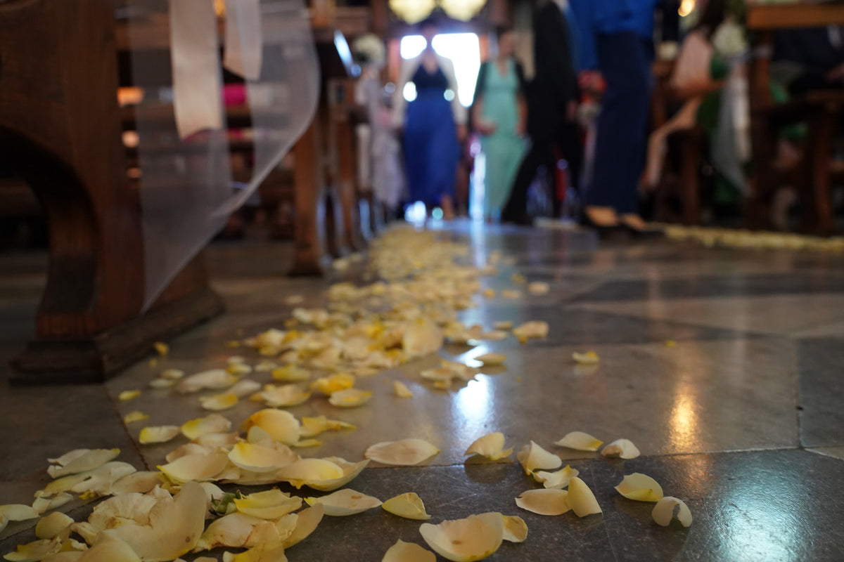 Pale rose petals scattered along a church aisle between rows of wedding guests.